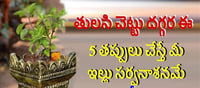 తులసిచెట్టు వద్ద ఈ వస్తువులు పెట్టడంతో దరిద్రానికి దారి తీసినట్టే..!
